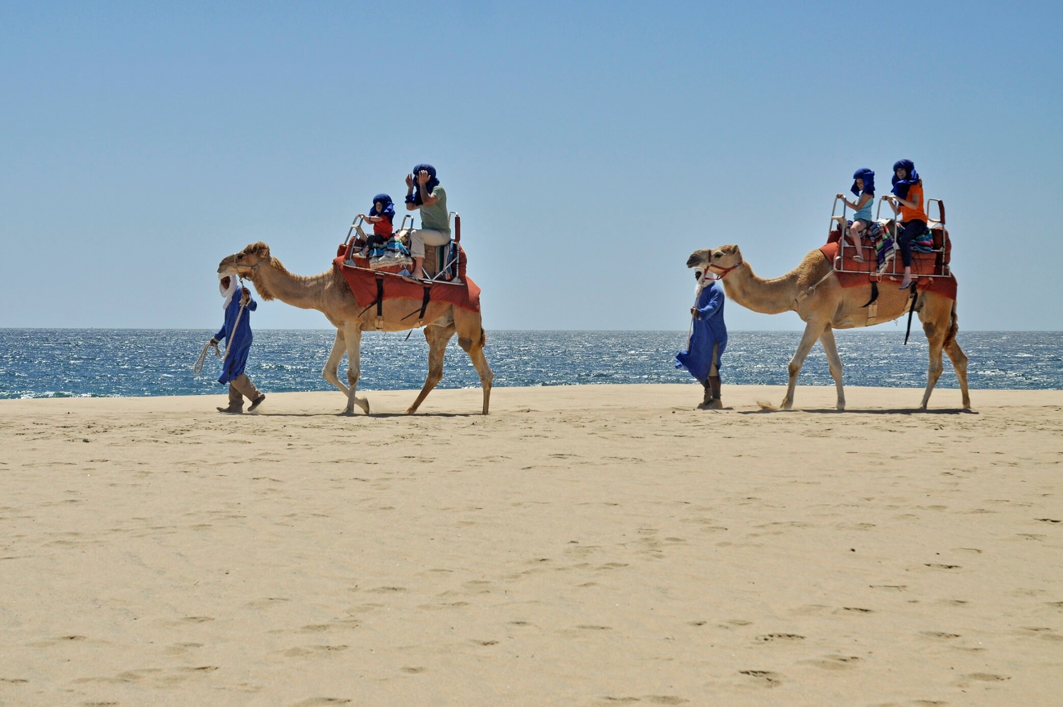 Tour en Camellos